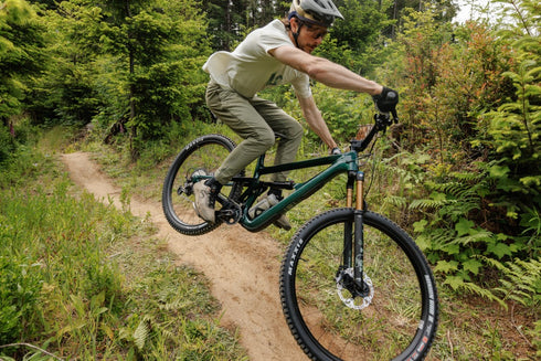 Ibis Ripley V5 Frameset